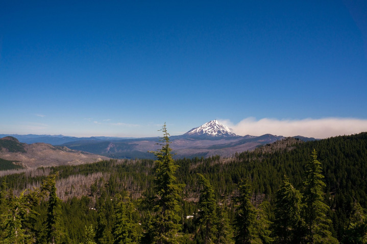 wildfire forest smoke